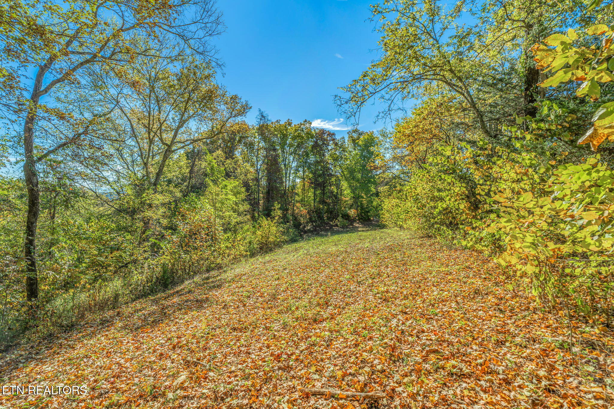 858 North Shiloh Road Seymour, TN 37865 - Photo 26 of 60 26-web-or-mls-858 N. Shiloh Road-18