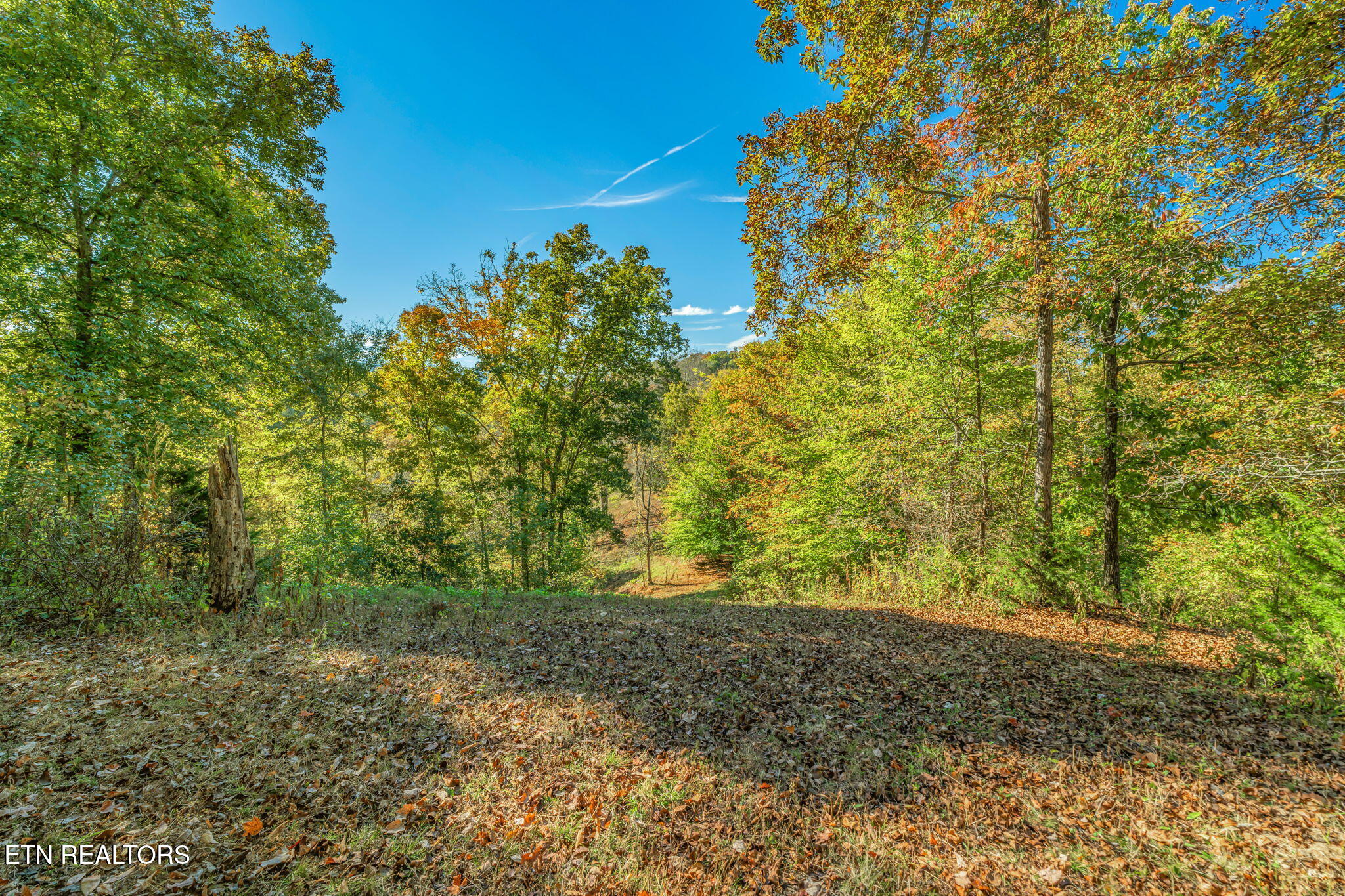 858 North Shiloh Road Seymour, TN 37865 - Photo 27 of 60 27-web-or-mls-858 N. Shiloh Road-19