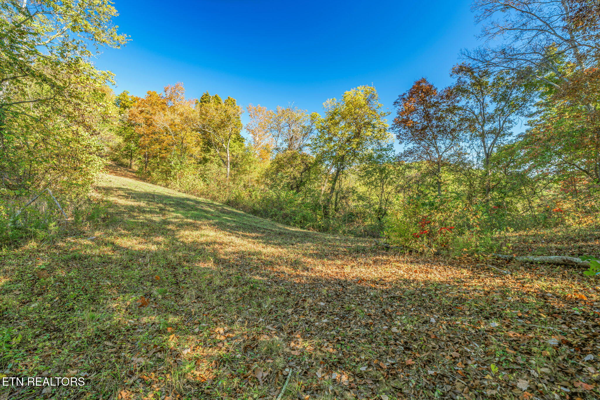 858 North Shiloh Road Seymour, TN 37865 - Photo 28 of 60 28-web-or-mls-858 N. Shiloh Road-20