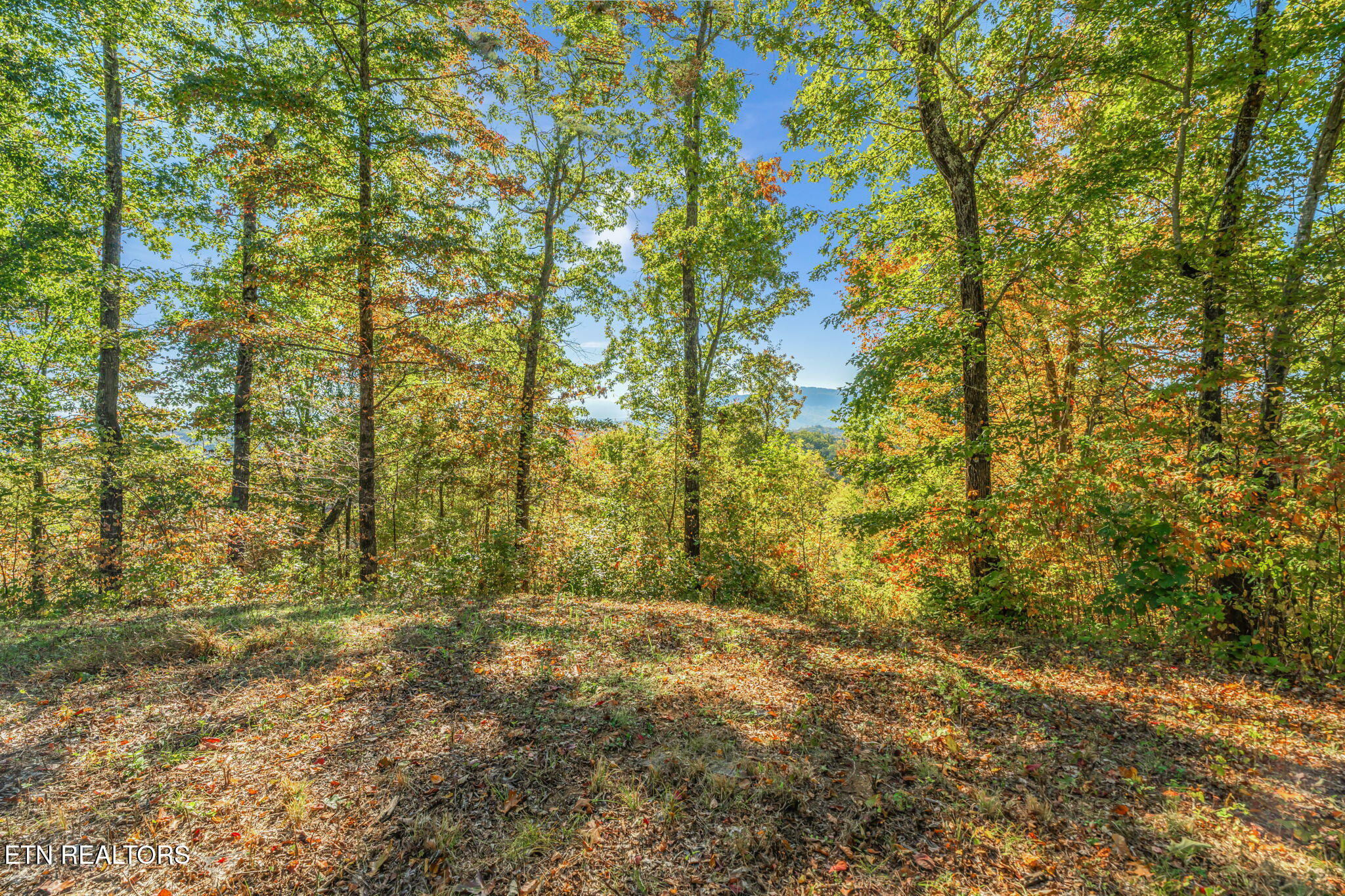 858 North Shiloh Road Seymour, TN 37865 - Photo 29 of 60 29-web-or-mls-858 N. Shiloh Road-21