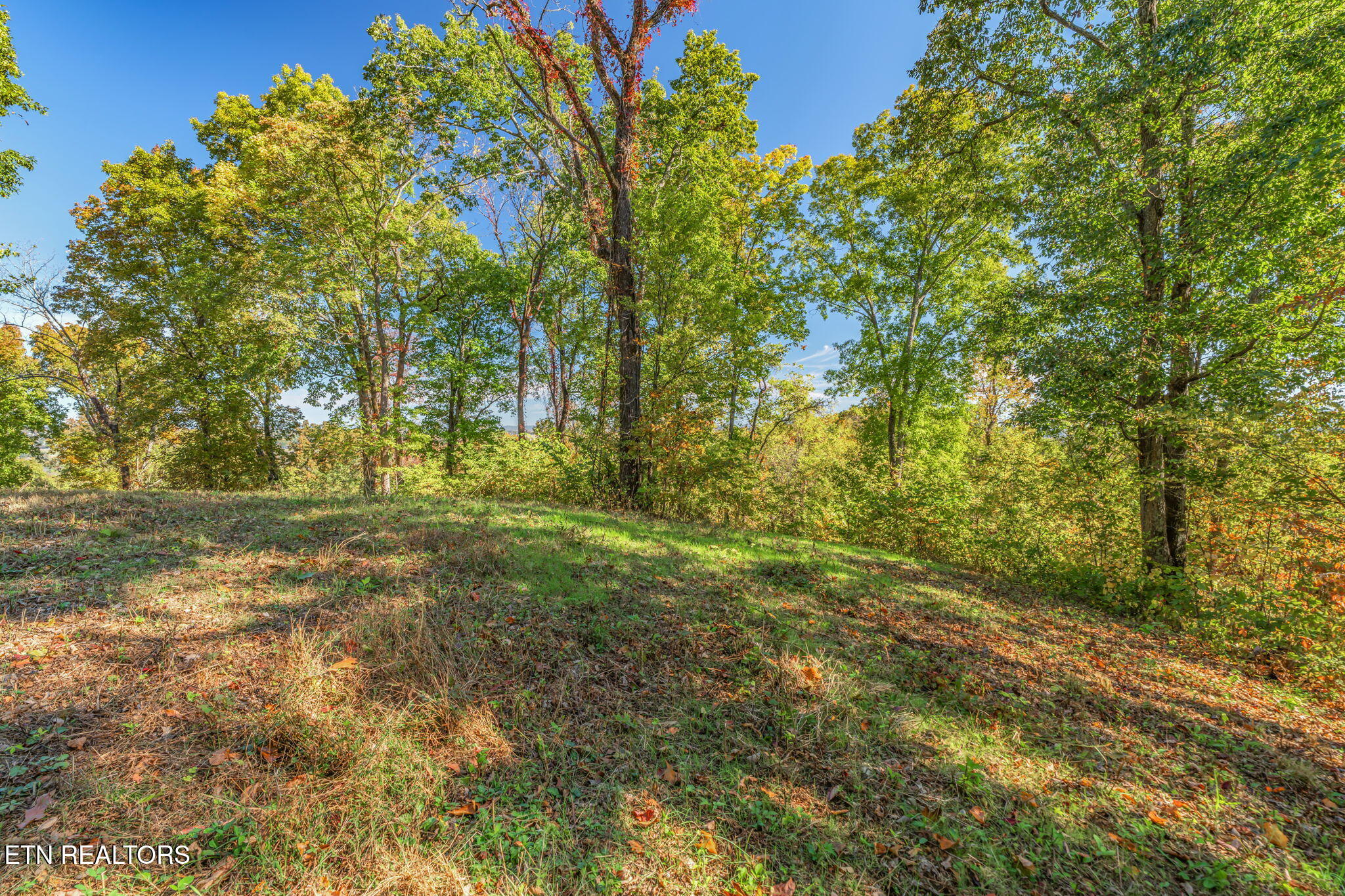 858 North Shiloh Road Seymour, TN 37865 - Photo 30 of 60 30-web-or-mls-858 N. Shiloh Road-22