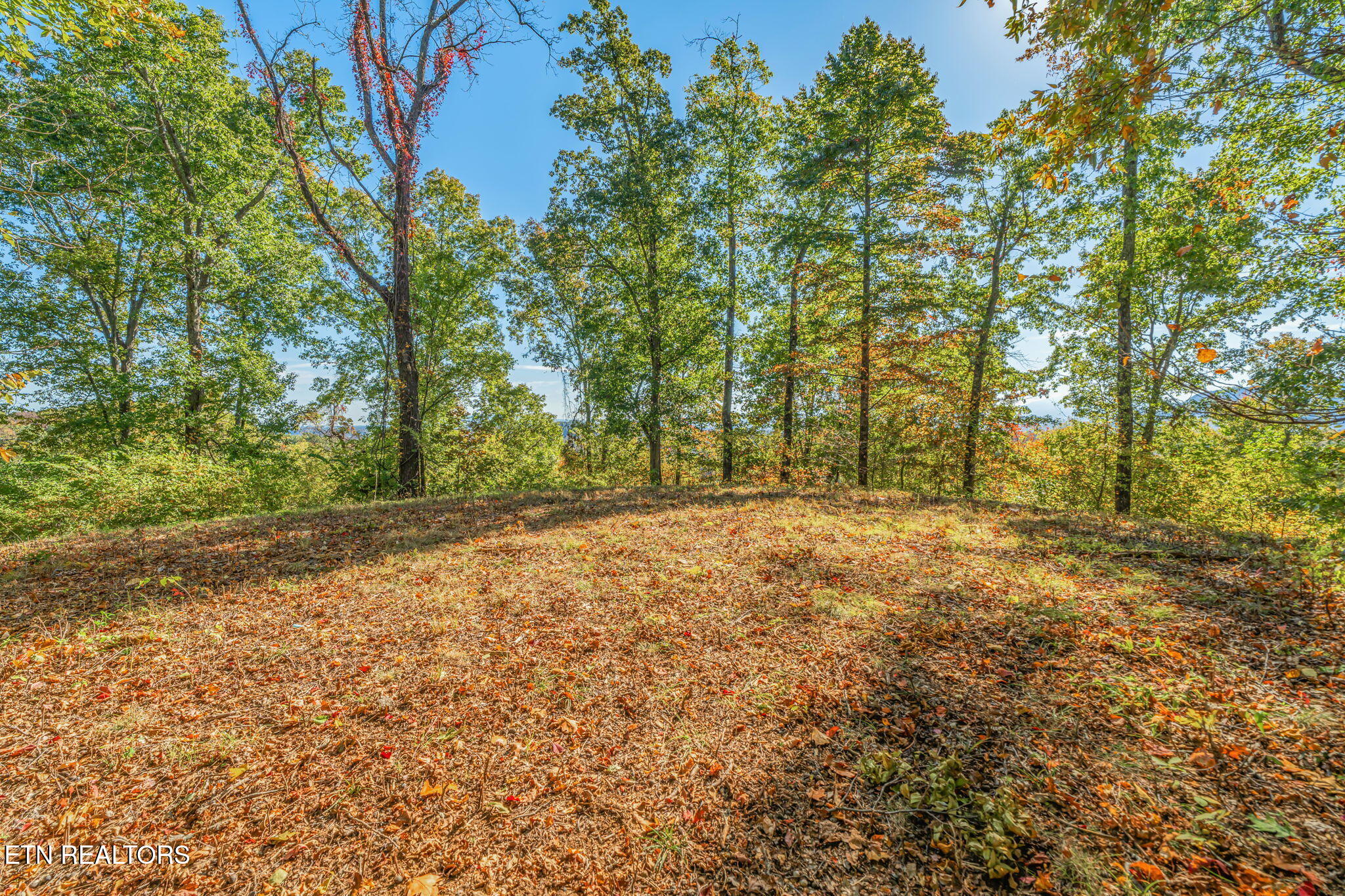 858 North Shiloh Road Seymour, TN 37865 - Photo 31 of 60 32-web-or-mls-858 N. Shiloh Road-24