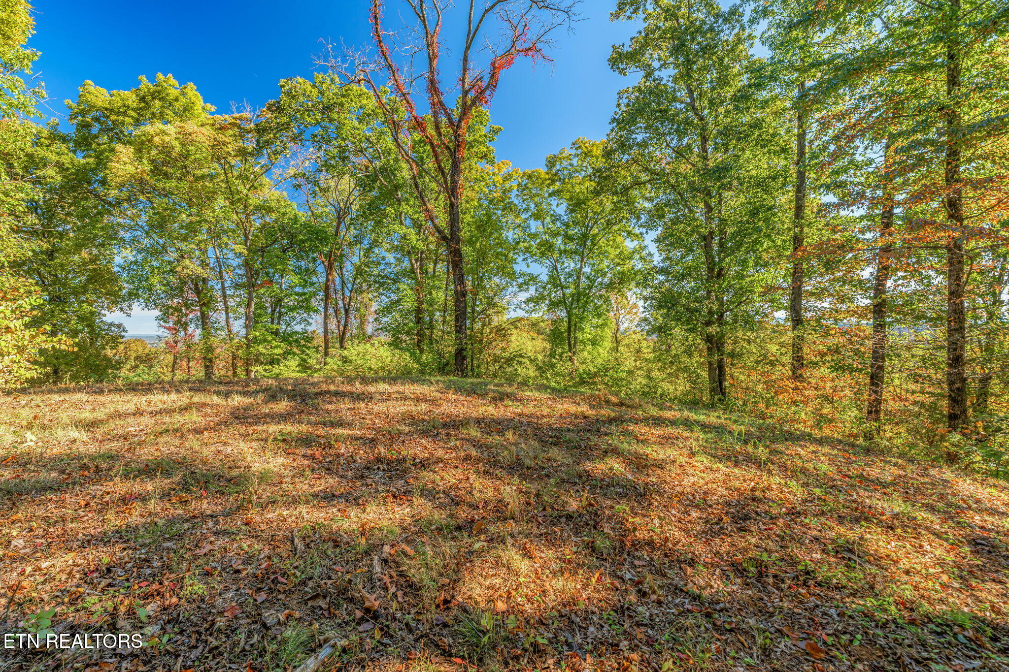 858 North Shiloh Road Seymour, TN 37865 - Photo 32 of 60 33-web-or-mls-858 N. Shiloh Road-25