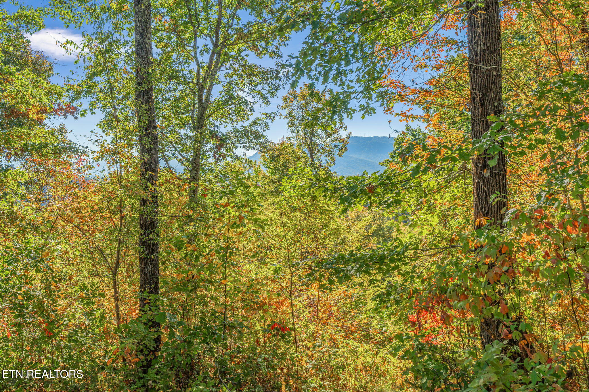 858 North Shiloh Road Seymour, TN 37865 - Photo 33 of 60 34-web-or-mls-858 N. Shiloh Road-26