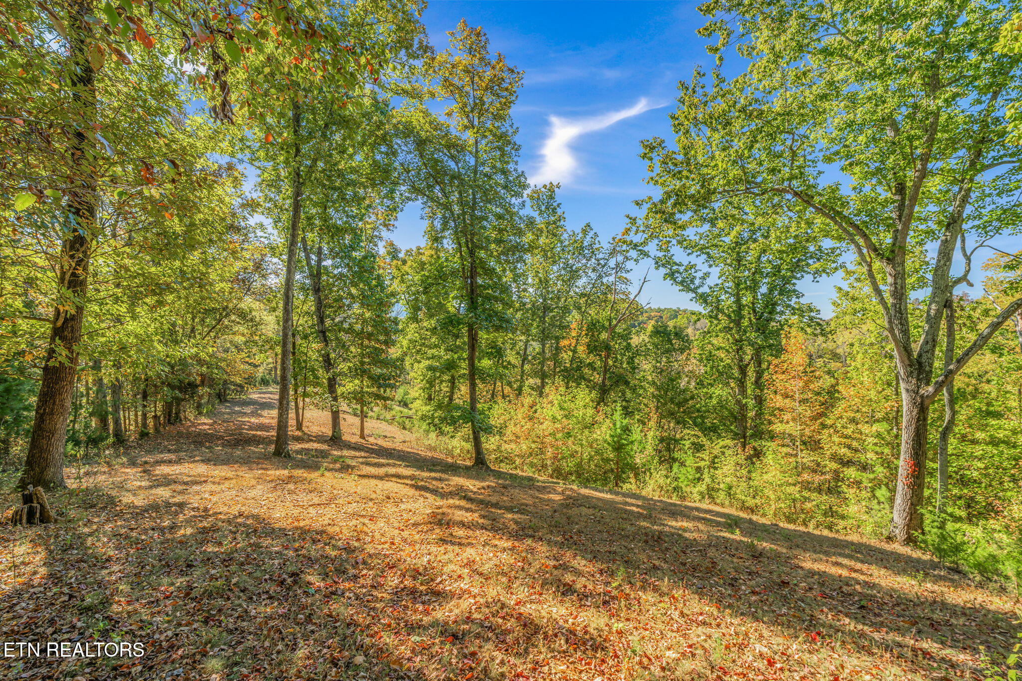 858 North Shiloh Road Seymour, TN 37865 - Photo 34 of 60 36-web-or-mls-858 N. Shiloh Road-28