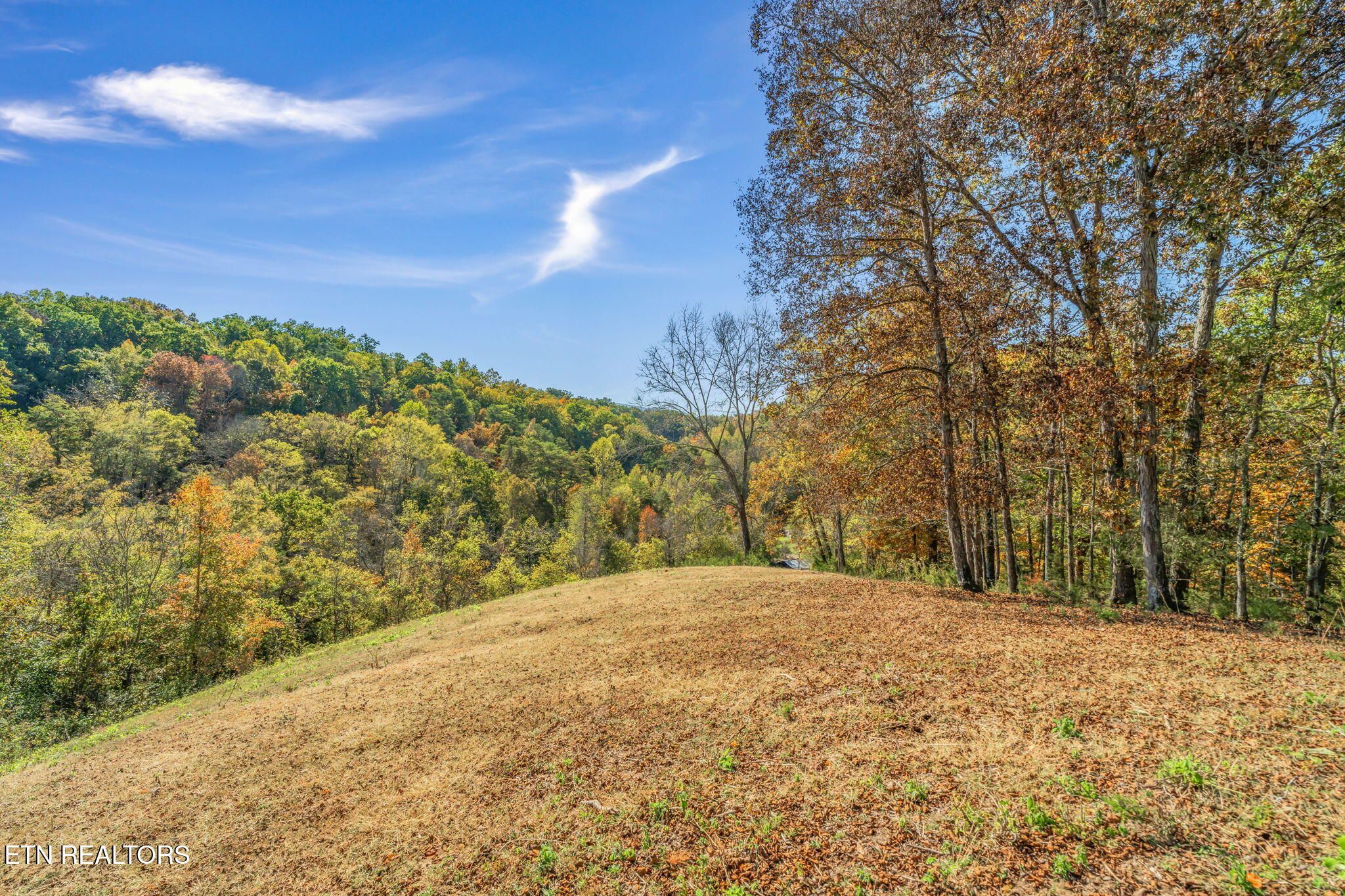 858 North Shiloh Road Seymour, TN 37865 - Photo 35 of 60 38-web-or-mls-858 N. Shiloh Road-30