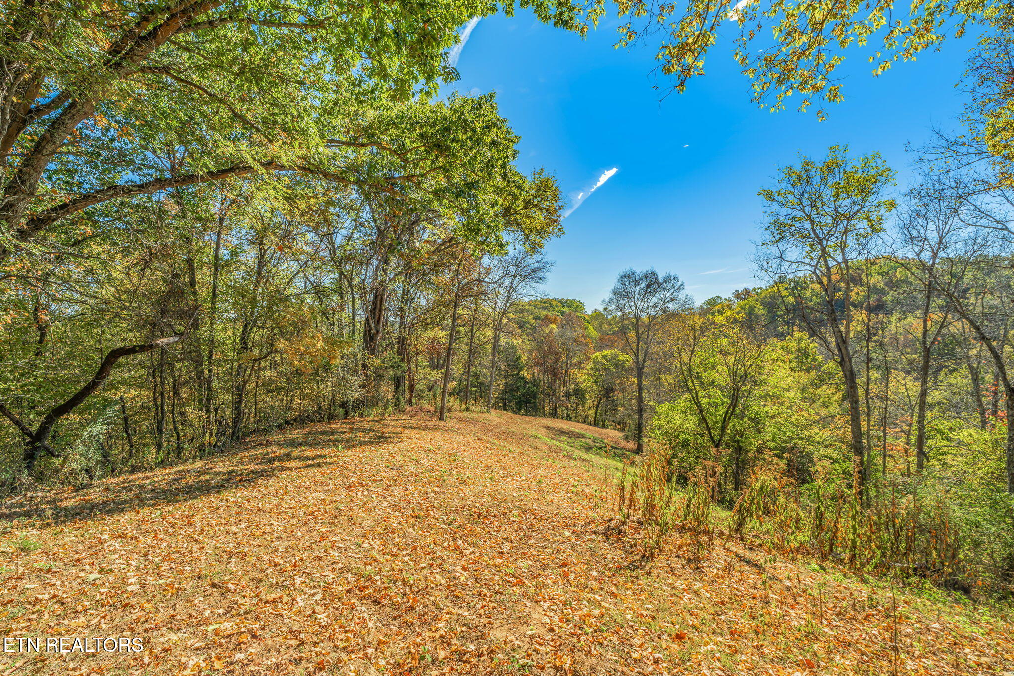 858 North Shiloh Road Seymour, TN 37865 - Photo 36 of 60 39-web-or-mls-858 N. Shiloh Road-31