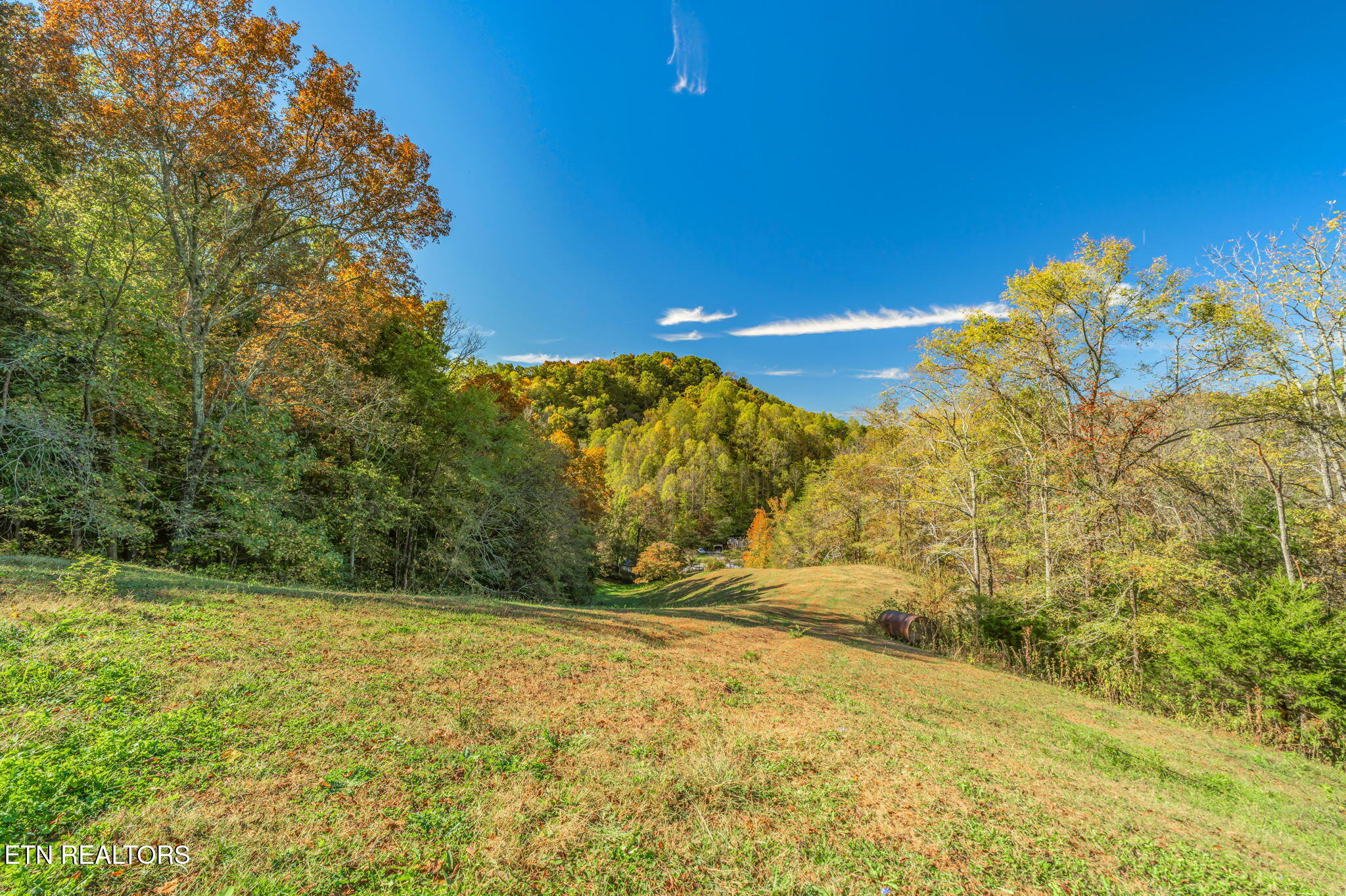 858 North Shiloh Road Seymour, TN 37865 - Photo 37 of 60 40-web-or-mls-858 N. Shiloh Road-32