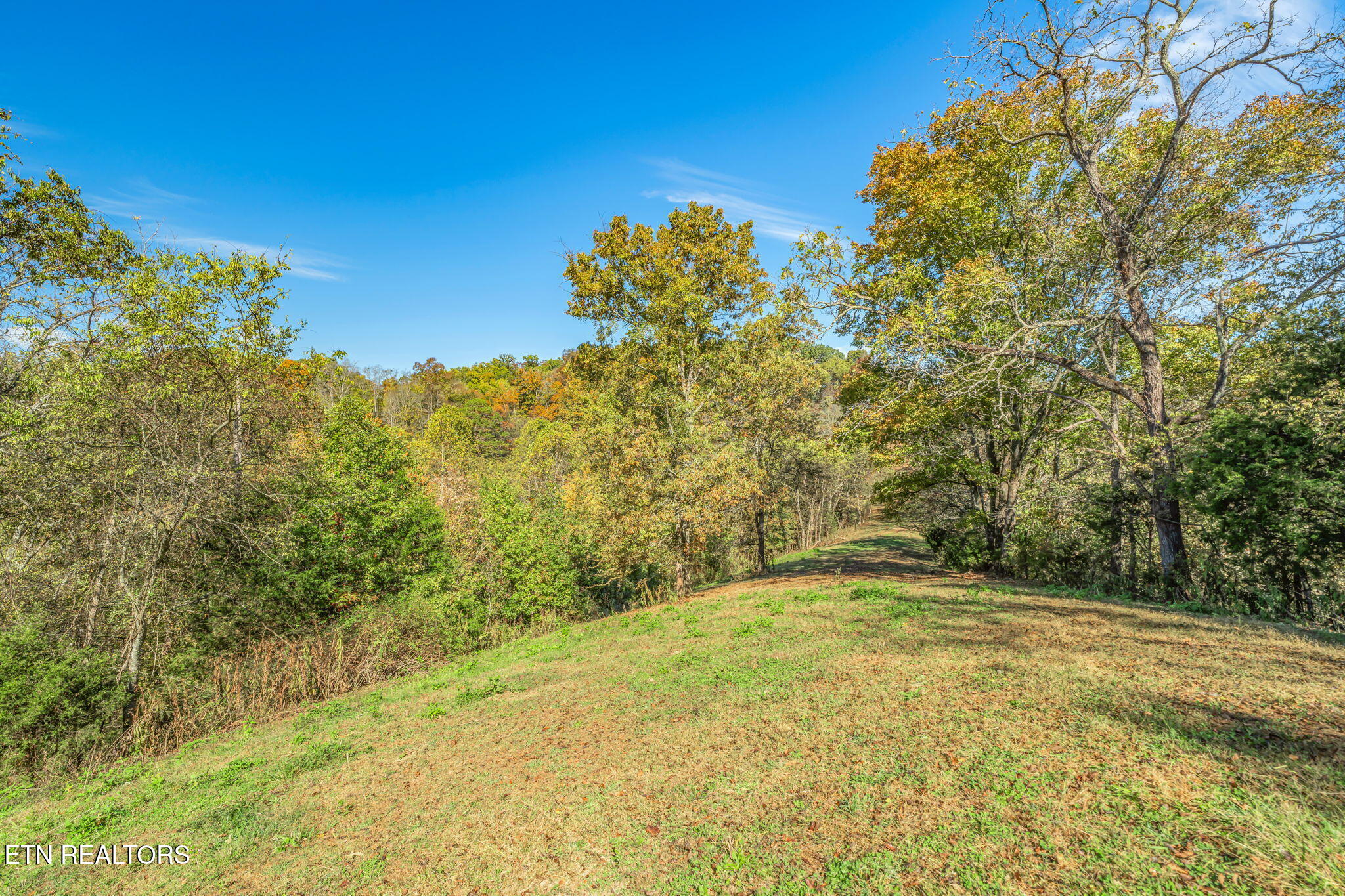 858 North Shiloh Road Seymour, TN 37865 - Photo 38 of 60 41-web-or-mls-858 N. Shiloh Road-33