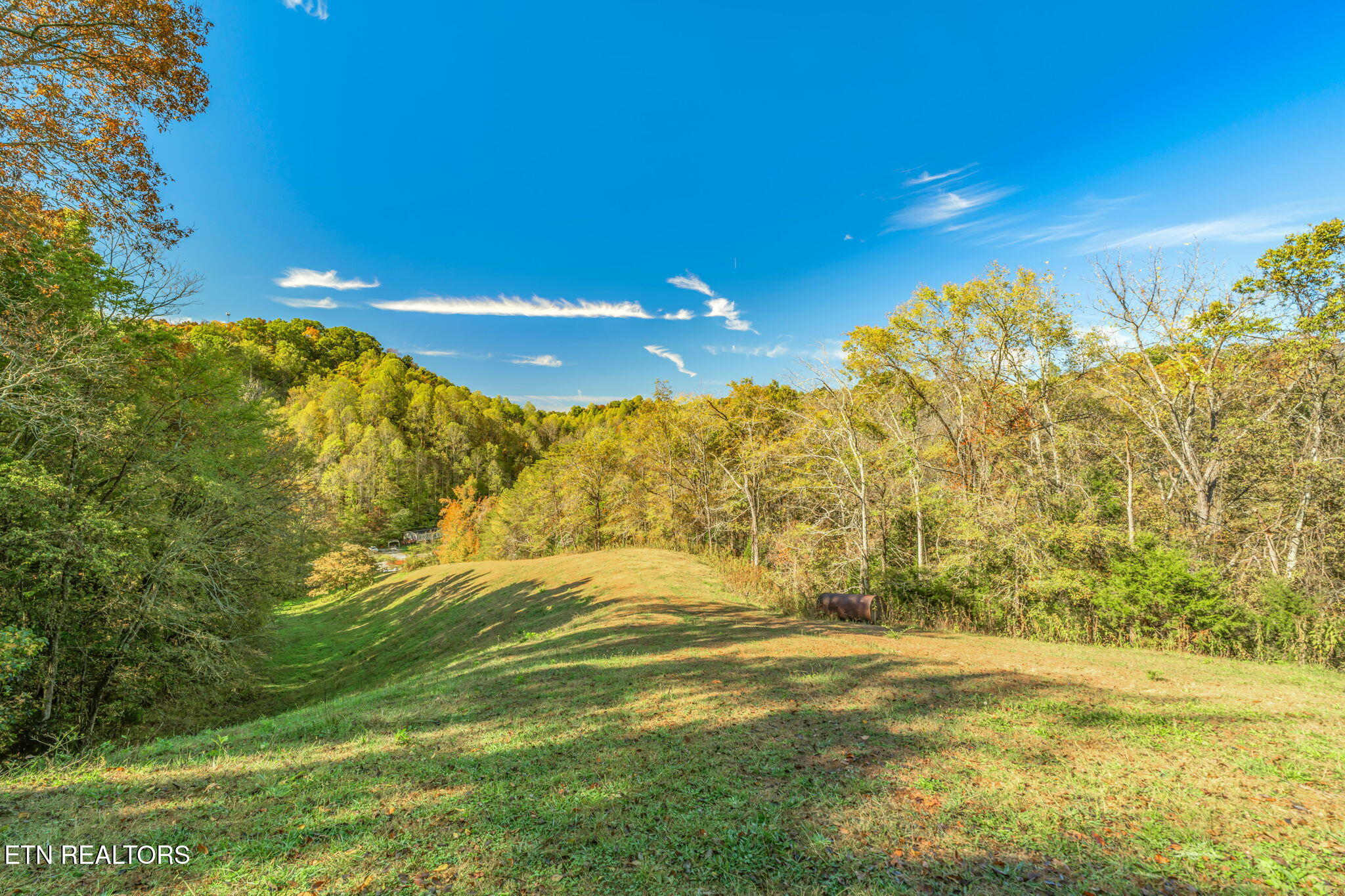 858 North Shiloh Road Seymour, TN 37865 - Photo 39 of 60 42-web-or-mls-858 N. Shiloh Road-34