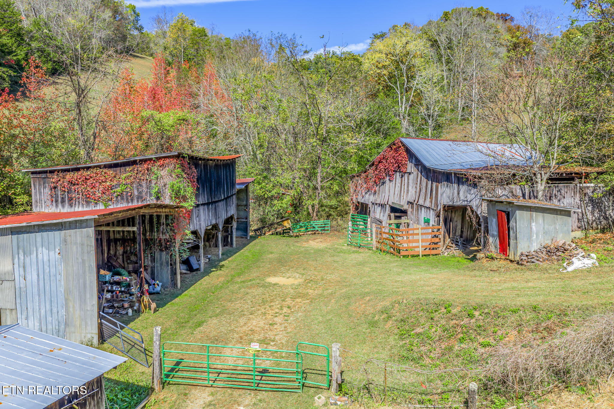 858 North Shiloh Road Seymour, TN 37865 - Photo 4 of 60 66-web-or-mls-858 N. Shiloh Road-64