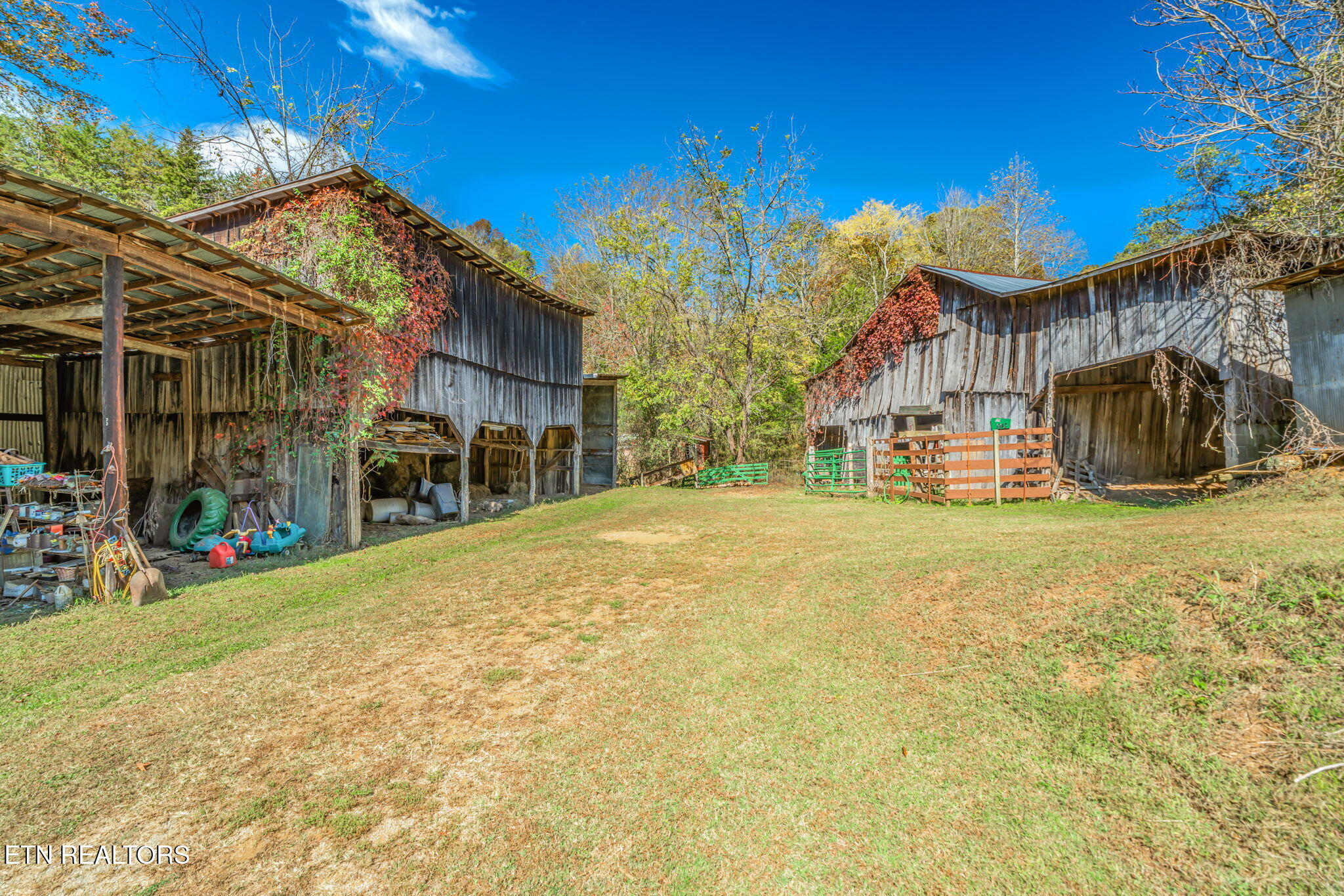 858 North Shiloh Road Seymour, TN 37865 - Photo 45 of 60 51-web-or-mls-858 N. Shiloh Road-49