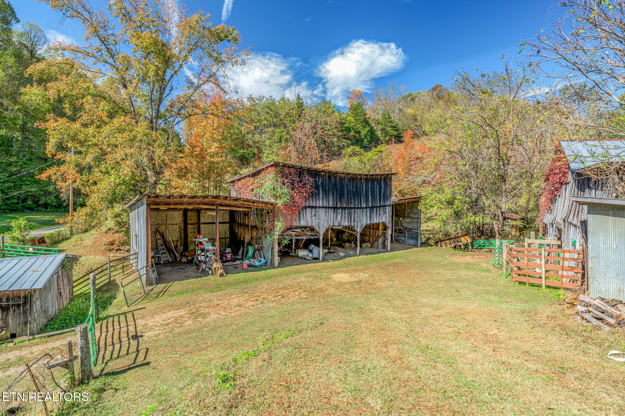 858 North Shiloh Road Seymour, TN 37865 - Photo 46 of 60 55-web-or-mls-858 N. Shiloh Road-53