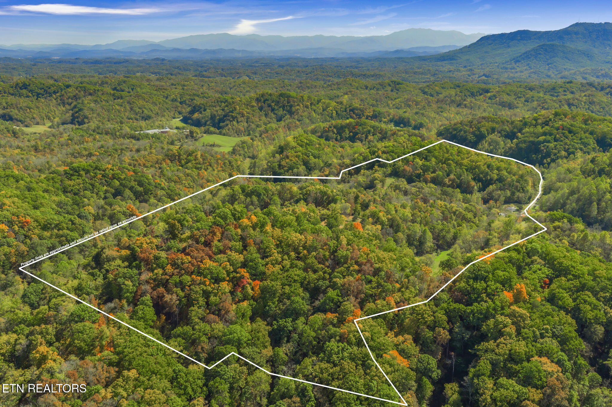 858 North Shiloh Road Seymour, TN 37865 - Photo 49 of 60 59-web-or-mls-858 N. Shiloh Road-81-1