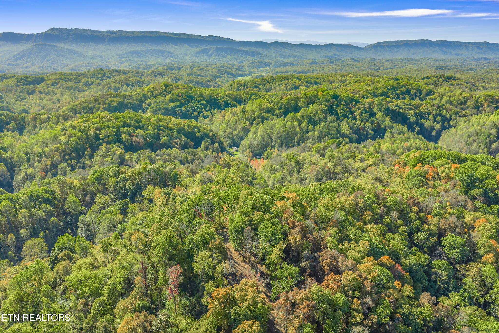858 North Shiloh Road Seymour, TN 37865 - Photo 50 of 60 62-web-or-mls-858 N. Shiloh Road-59