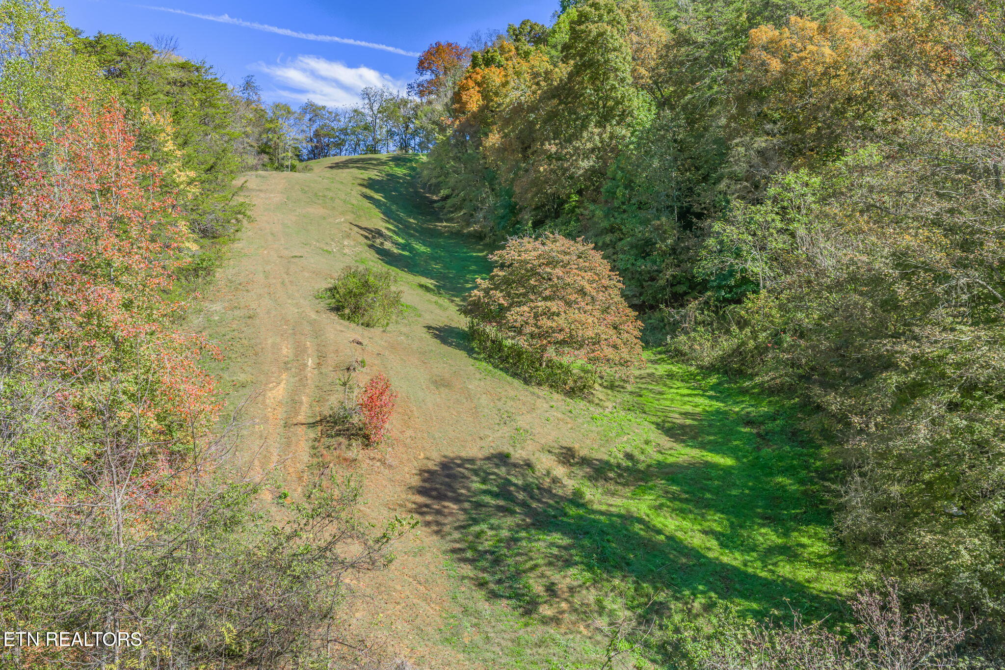 858 North Shiloh Road Seymour, TN 37865 - Photo 52 of 60 68-web-or-mls-858 N. Shiloh Road-66