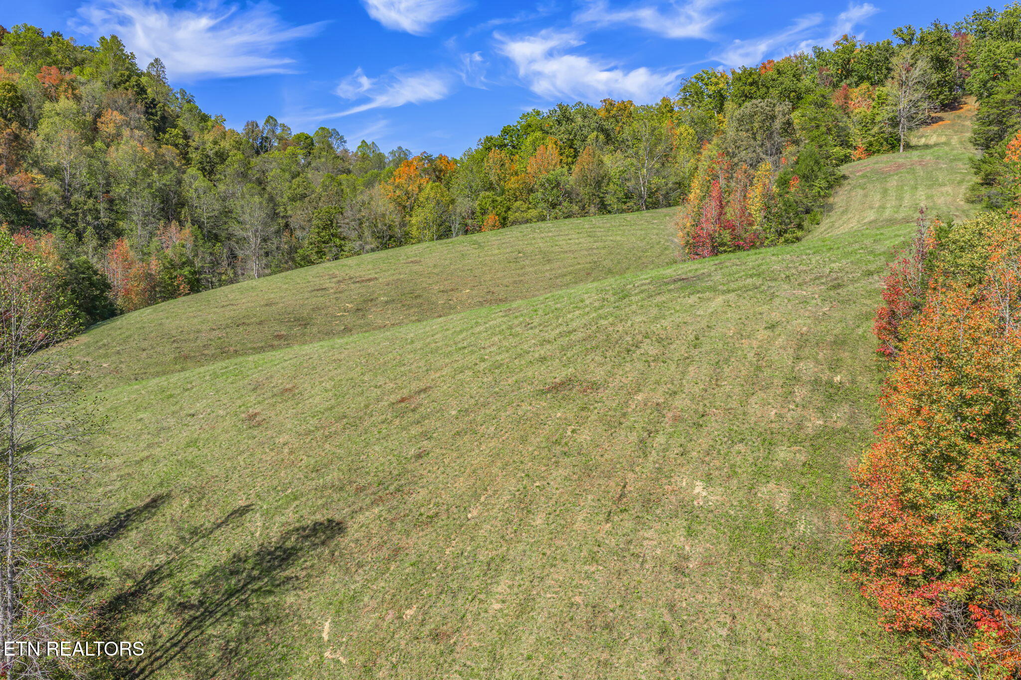 858 North Shiloh Road Seymour, TN 37865 - Photo 56 of 60 76-web-or-mls-858 N. Shiloh Road-74
