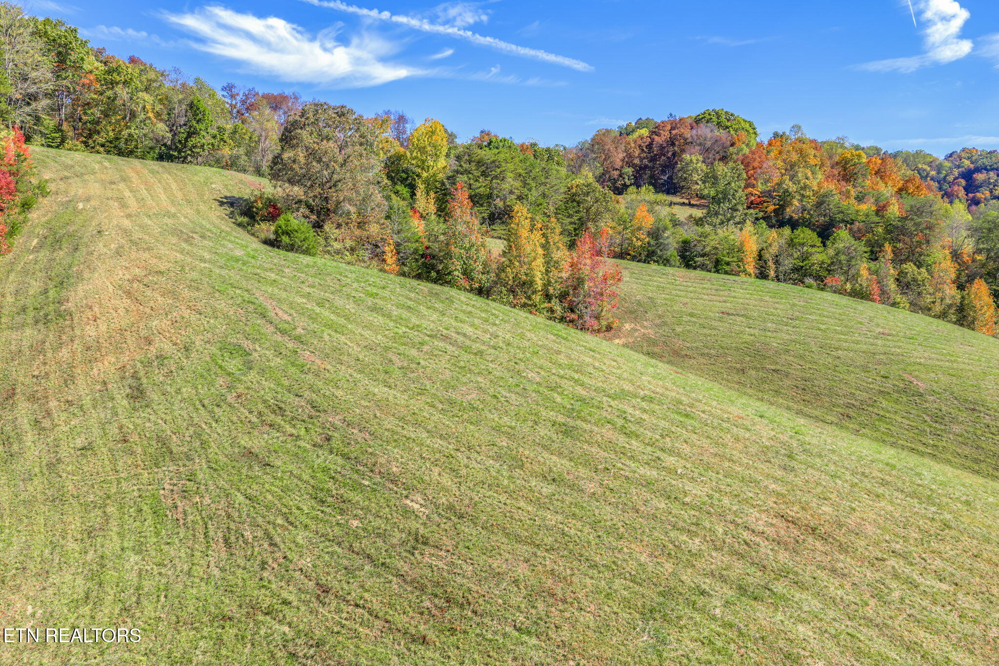 858 North Shiloh Road Seymour, TN 37865 - Photo 57 of 60 78-web-or-mls-858 N. Shiloh Road-76