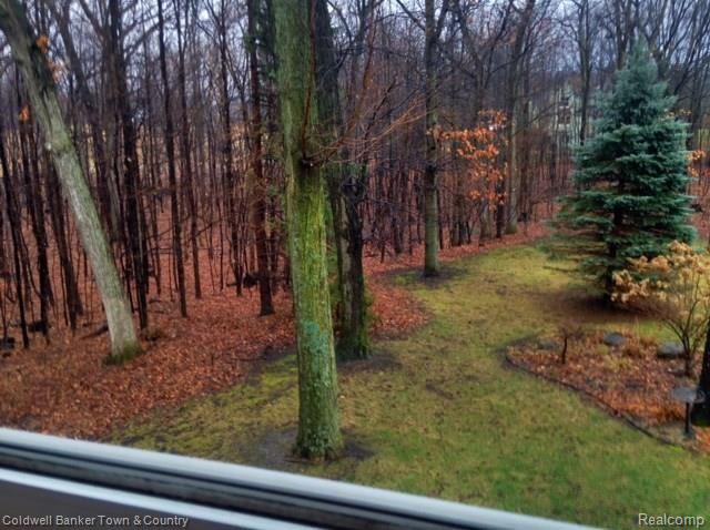 1800 Lone Tree Road Highland, MI 48357 - Photo 34 of 43 View from bedroom 2