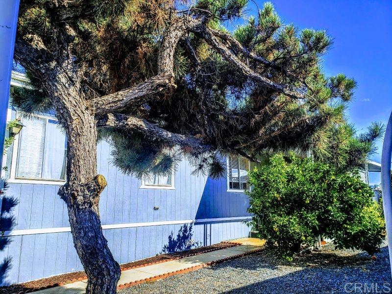 9500 Harritt Road, Unit 218 Lakeside, CA 92040 - Photo 7 of 22 Gallery Image 7