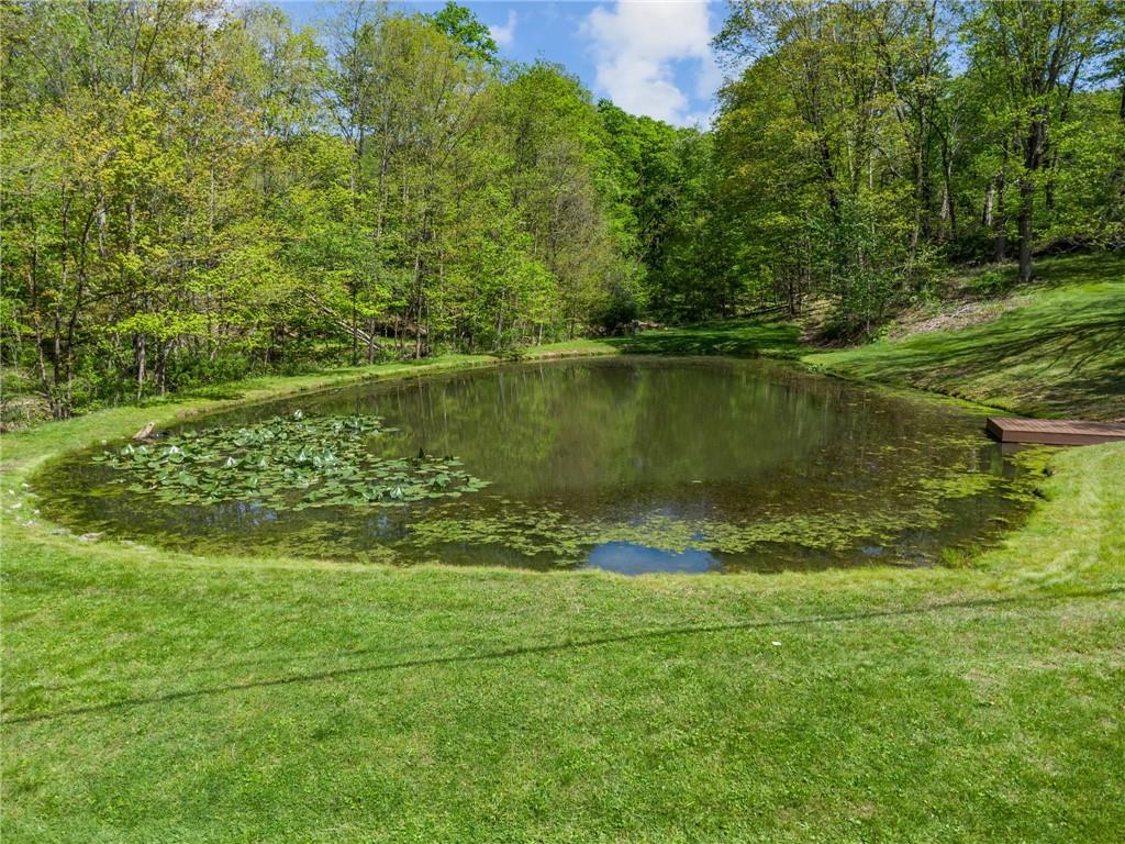 388 Bortz Road Saltsburg, PA 15681 - Photo 42 of 50 Beautiful POND with DOCK Stocked with Bluegill, Bass, and 7 Carp