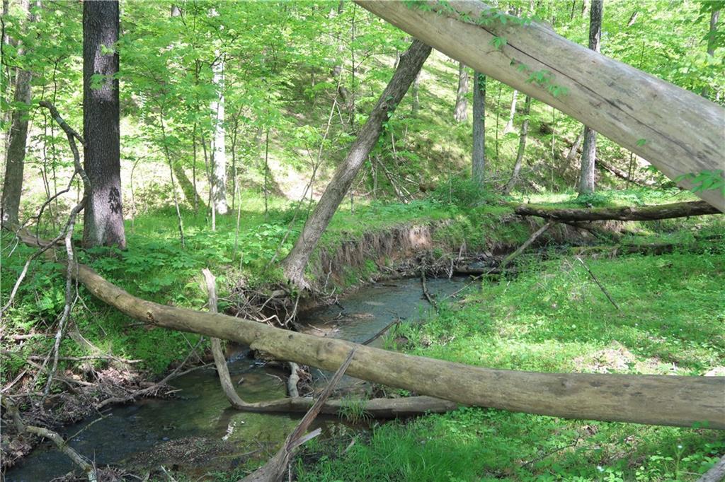 388 Bortz Road Saltsburg, PA 15681 - Photo 45 of 50 WATER FEATURES