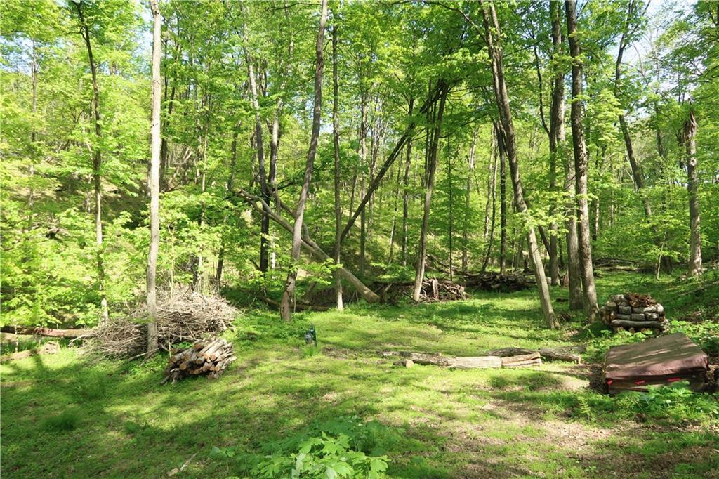 388 Bortz Road Saltsburg, PA 15681 - Photo 46 of 50 Wonderful Woods