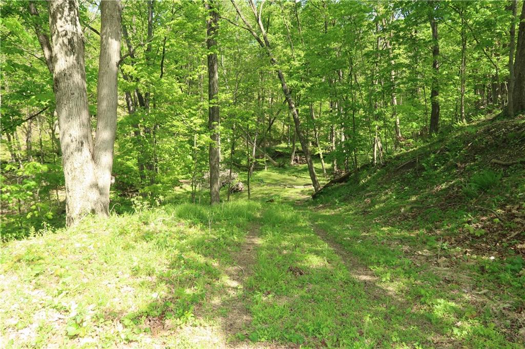 388 Bortz Road Saltsburg, PA 15681 - Photo 47 of 50 Wonderful and Peaceful Acres for Pleasant Nature Walks, Watching Nature, Gathering Apples or Blueberries, Garden, Enjoying the Great Outdoors