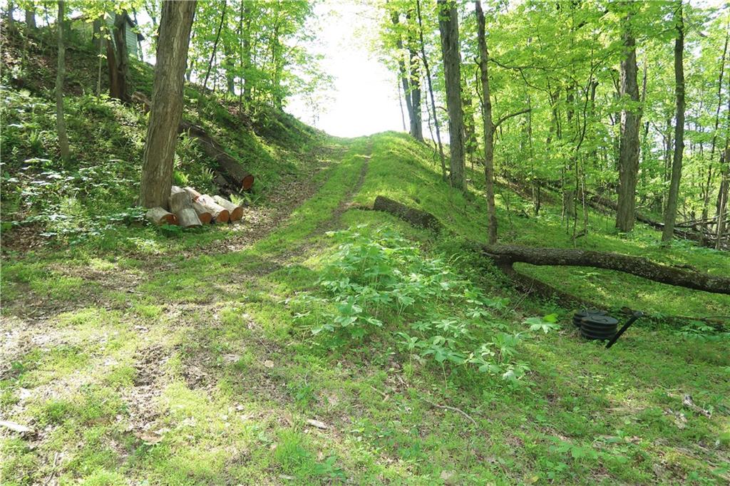 388 Bortz Road Saltsburg, PA 15681 - Photo 48 of 50 Hunt or Play