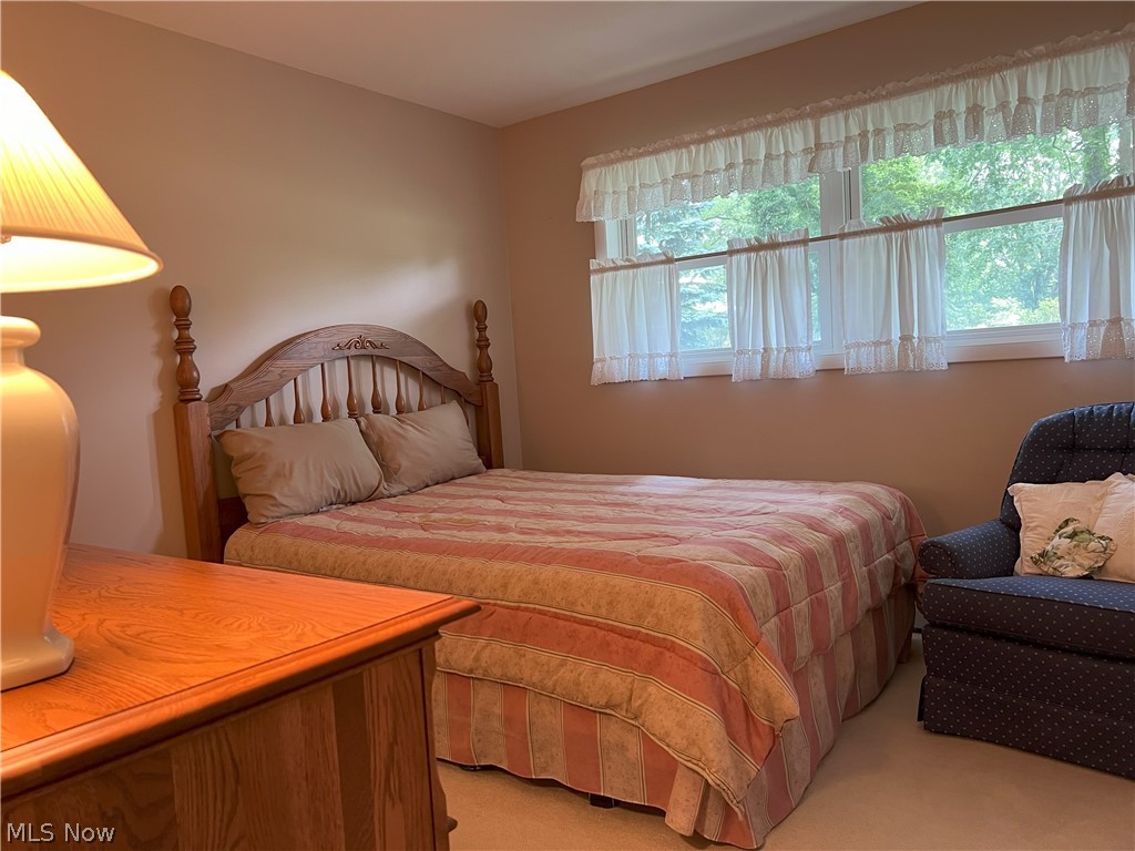 7325 Euclid Chardon Road Willoughby, OH 44094 - Photo 11 of 24 Bedroom with carpet flooring