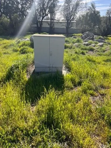 a view of a garden with large trees