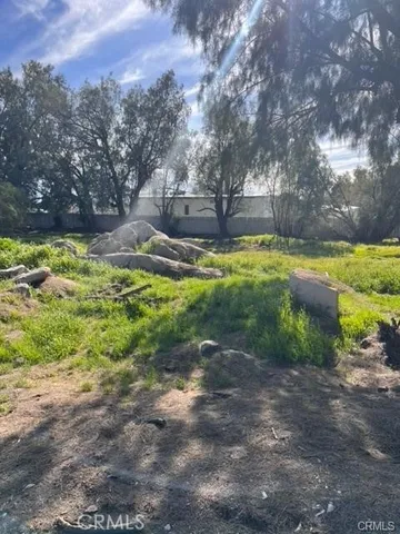 a view of a yard with plants