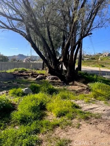 a view of a backyard with large trees