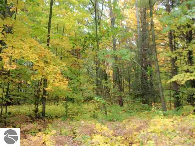 19070 Fowler Road Lake Ann, MI 49650 - Photo 8 of 10 1740000-7.JPG