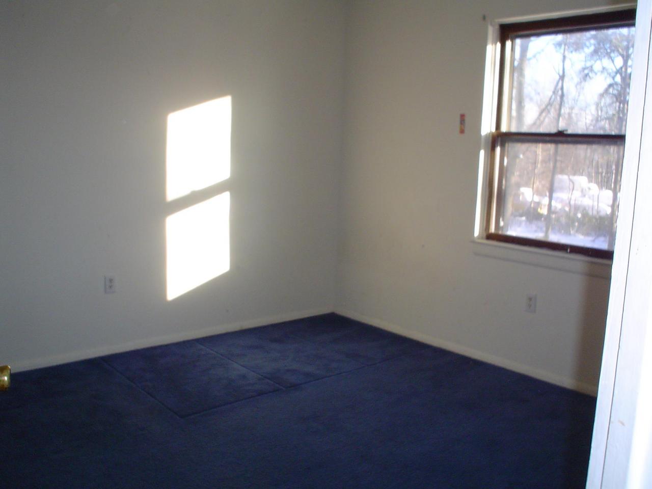 110 Sterling Road Mount Pocono, PA 18344 - Photo 4 of 9 Bedroom 1