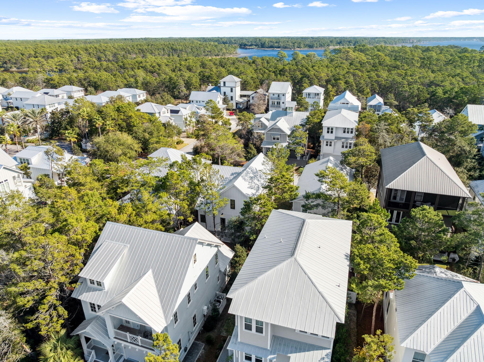 141 Grande Pointe Dr Inlet Beach Inlet Beach, FL 32461 - Photo 55 of 64 Array_141GrandePointeDr-9