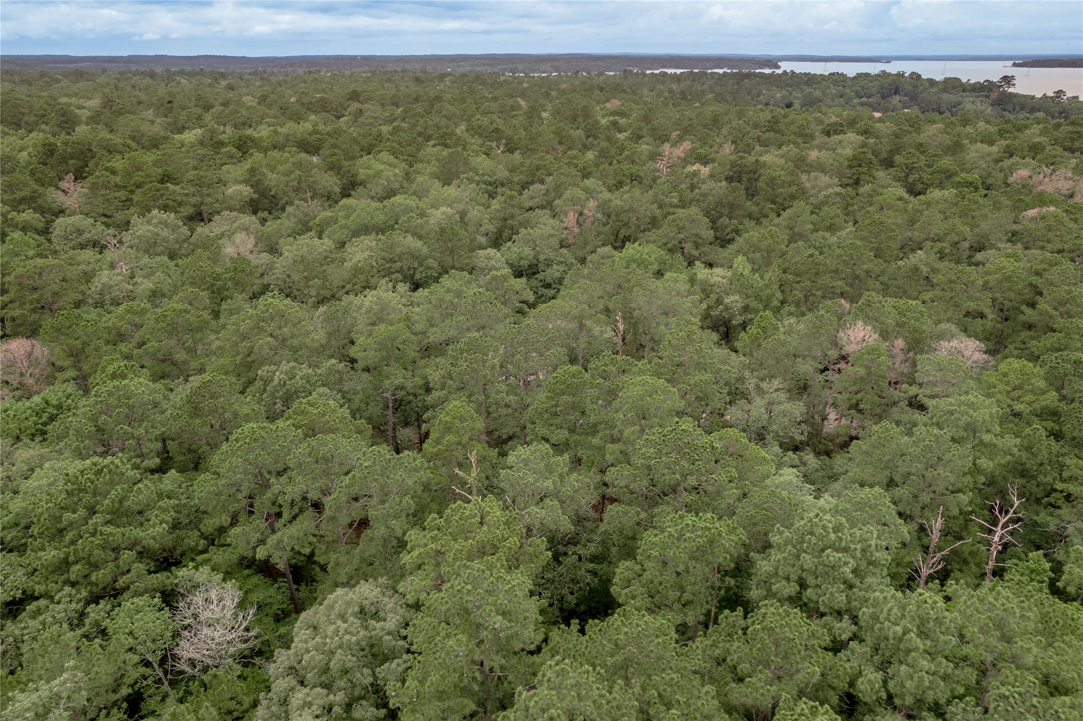 Lot 9 Rohm Place Point Blank, TX 77364 - Photo 14 of 26