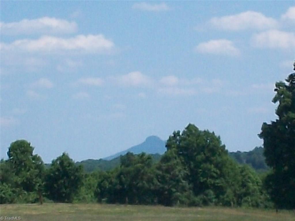 1-acre High Ridge Road Mount Airy, NC 27030 - Photo 4 of 13 View across the road in front of the property of Pilot Mountain.