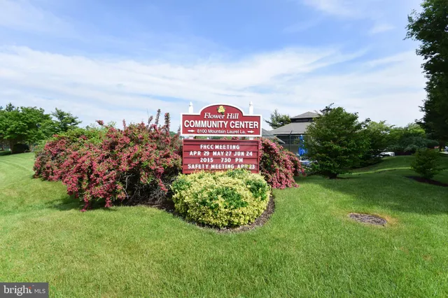 a view of a bunch of flowers and trees
