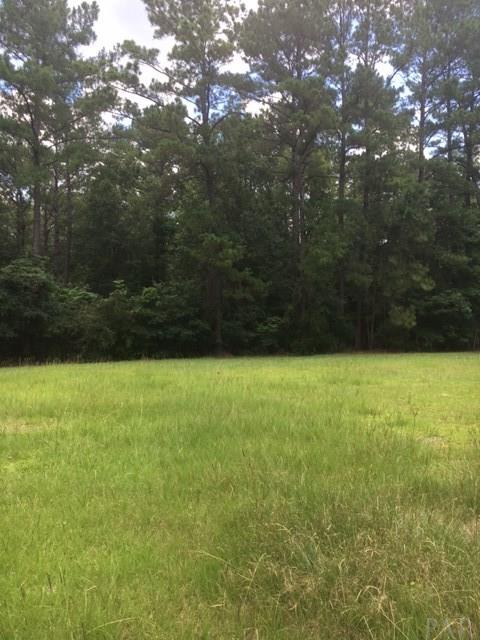 198 Neese Road Brewton, AL 36426 - Photo 24 of 27