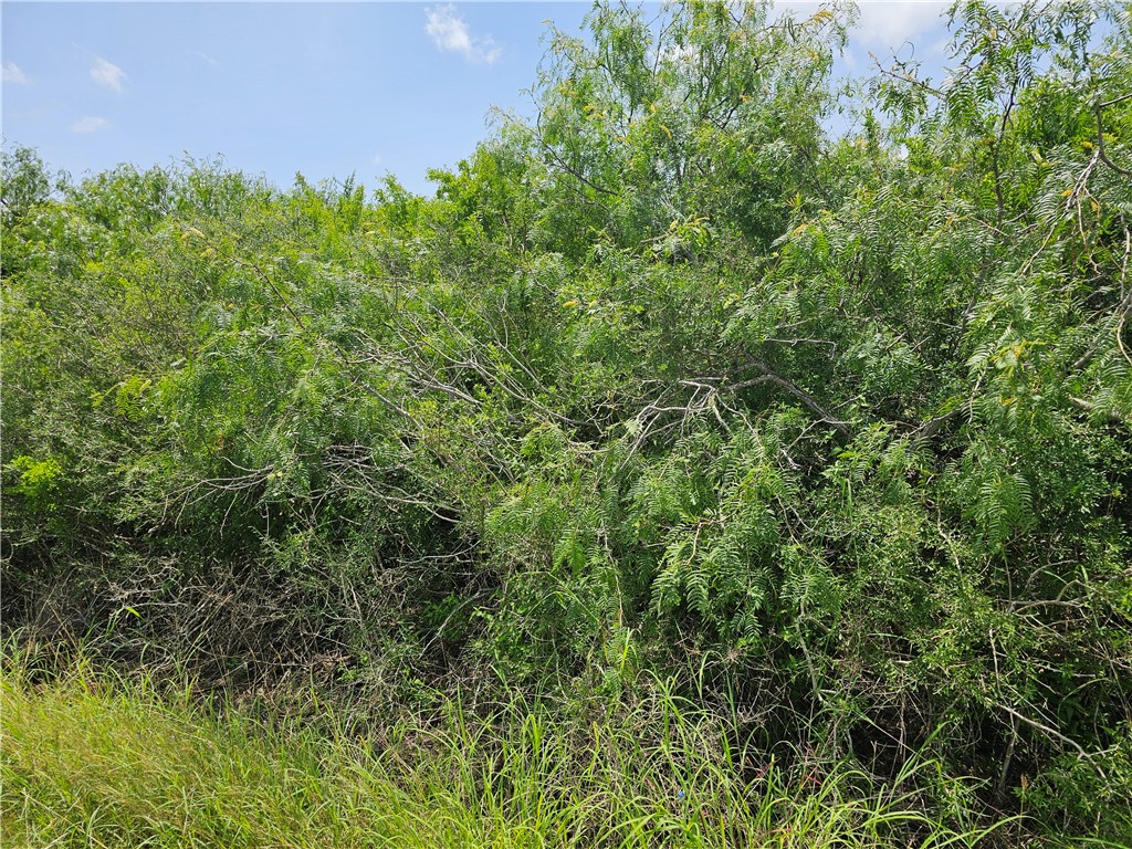 1110 2nd Street Bayside, TX 78340 - Photo 6 of 6