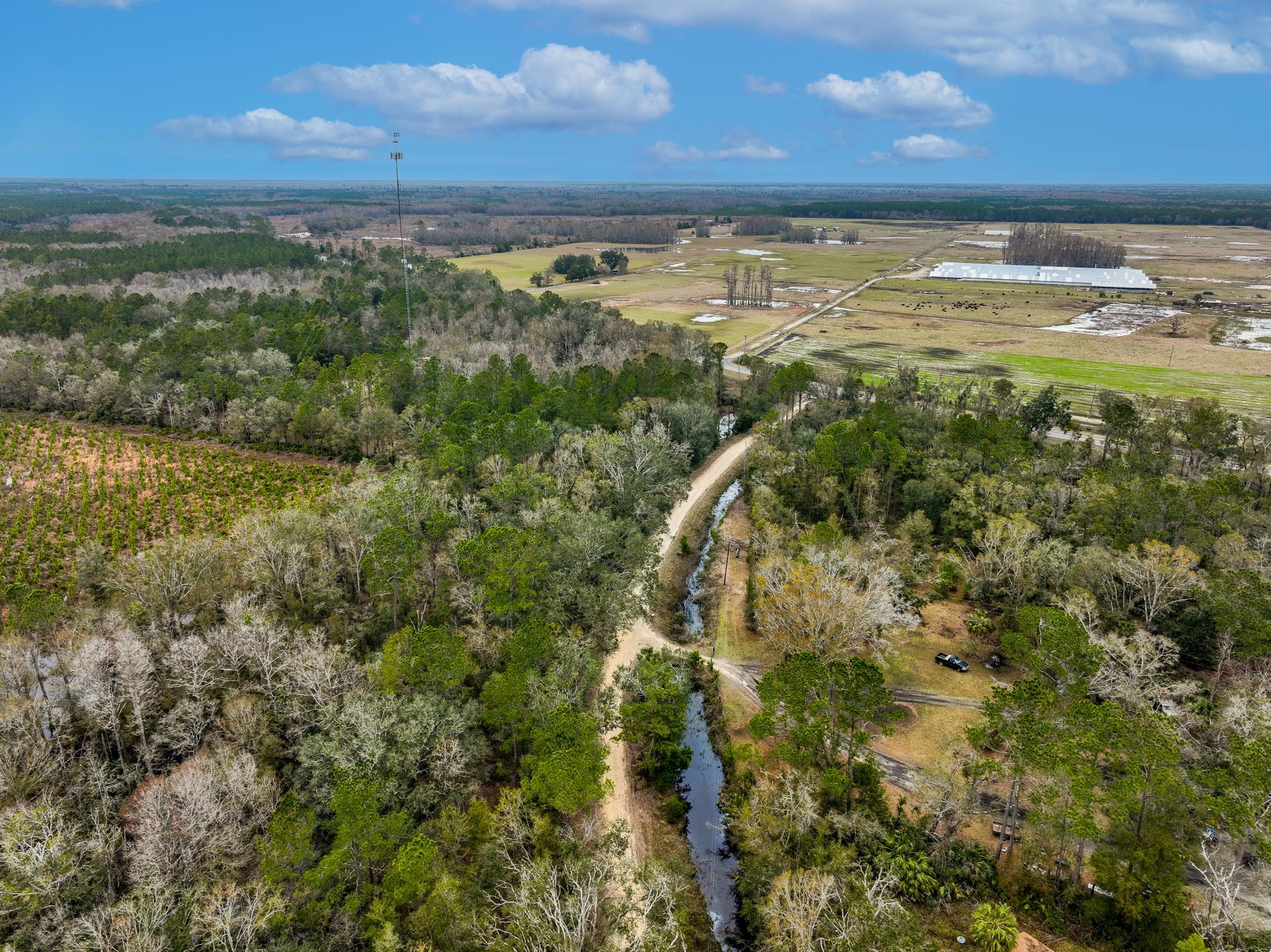 Vacant David Horton Road Perry, FL 32348 - Photo 1 of 12 Gallery Image 1