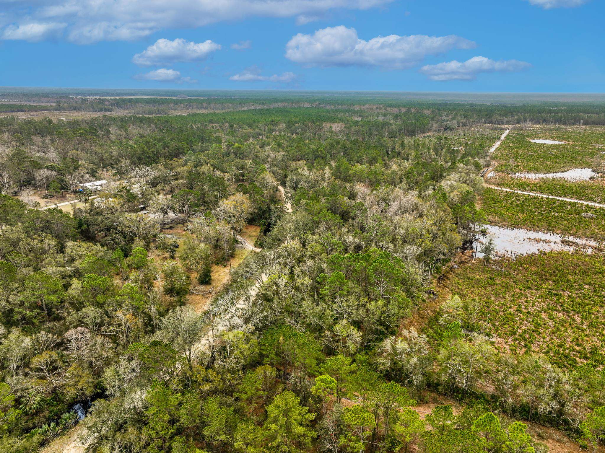 Vacant David Horton Road Perry, FL 32348 - Photo 11 of 12 Gallery Image 11