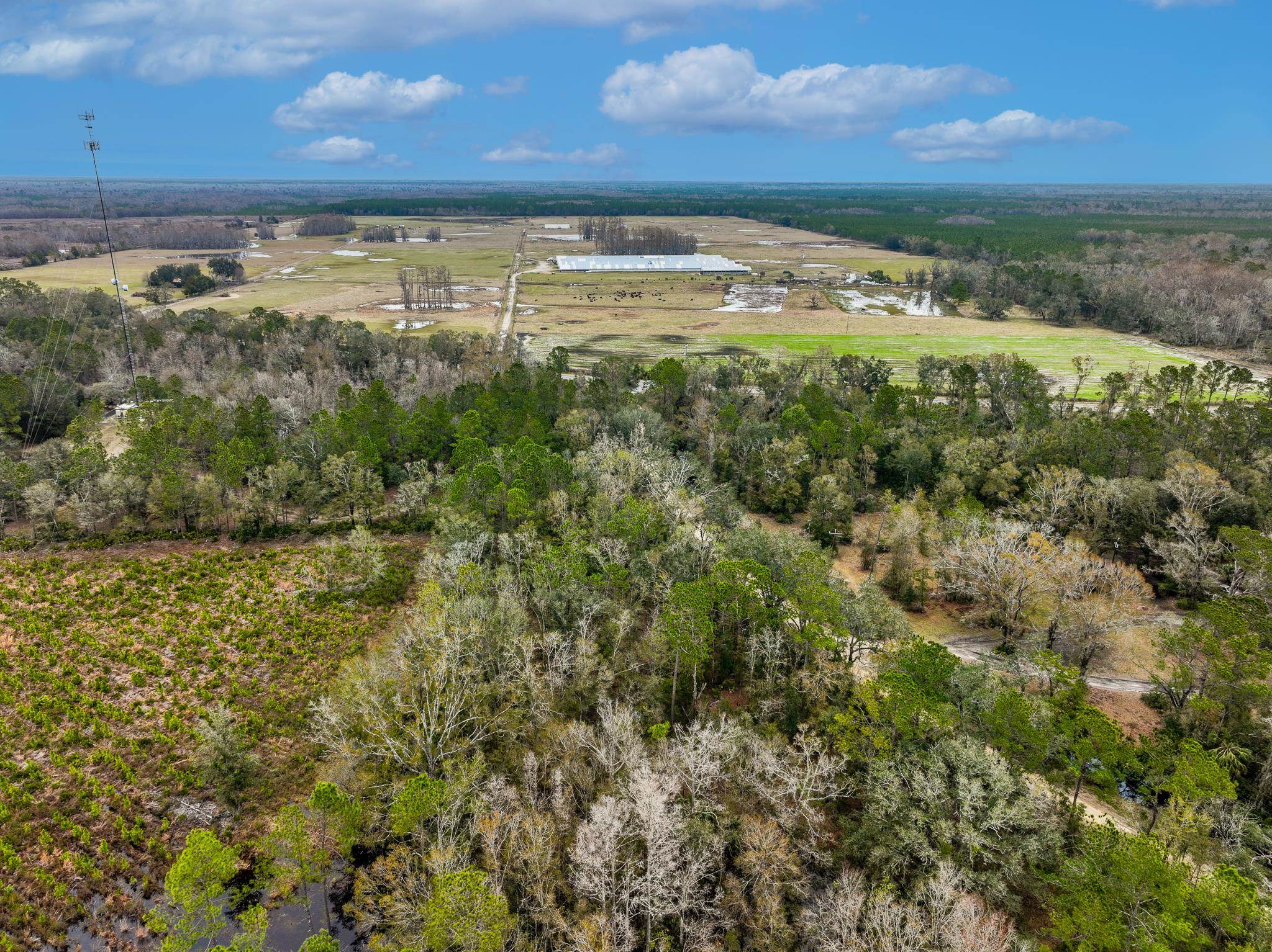 Vacant David Horton Road Perry, FL 32348 - Photo 12 of 12 Gallery Image 12