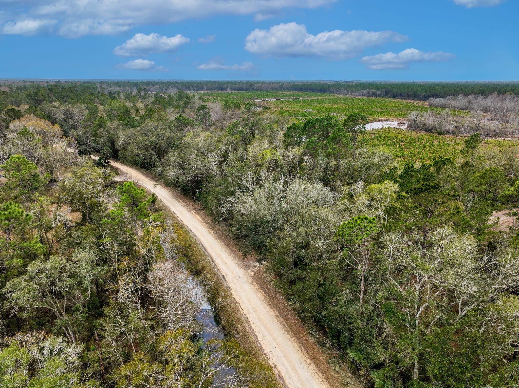 Vacant David Horton Road Perry, FL 32348 - Photo 2 of 12 Gallery Image 2