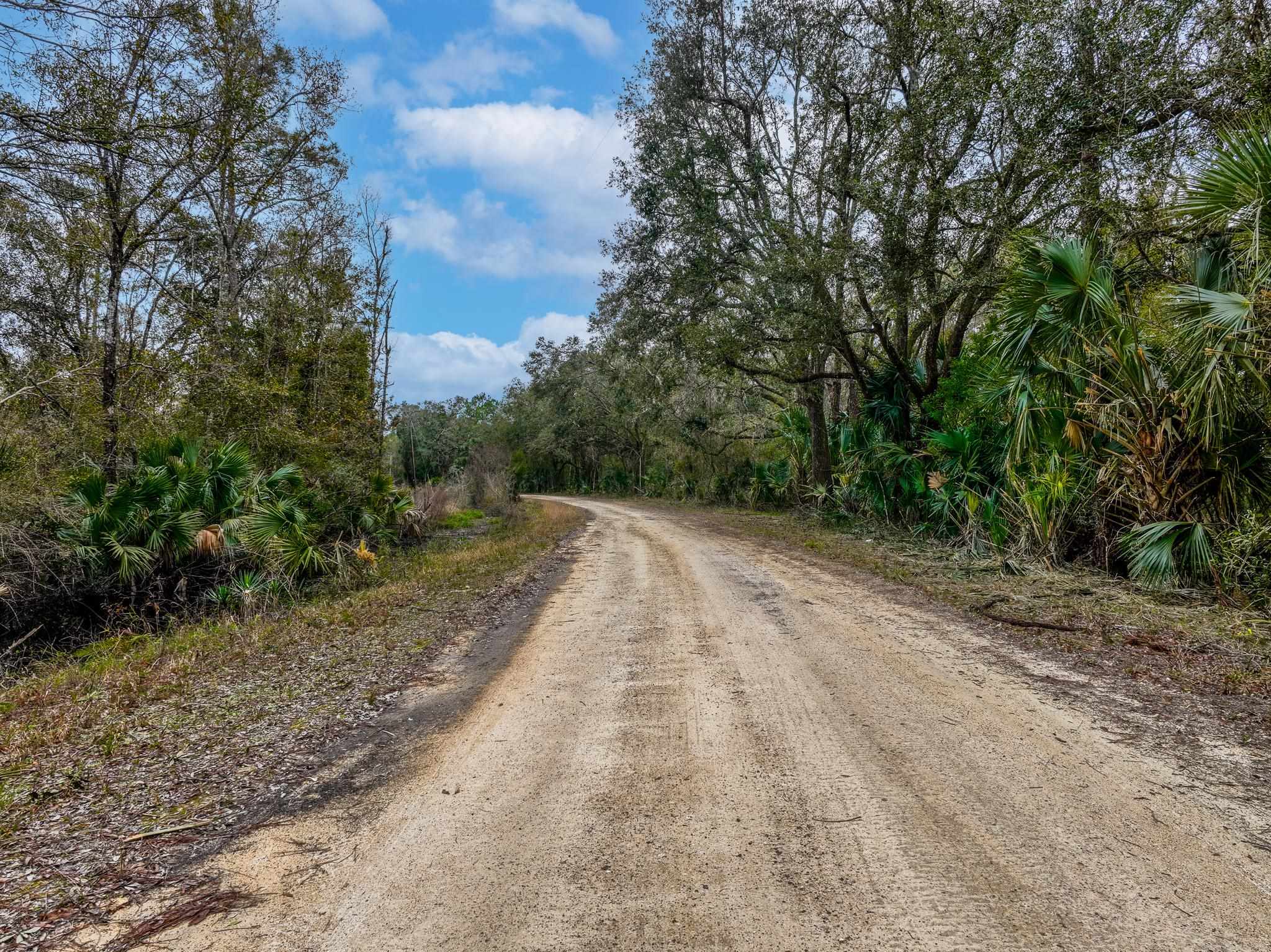 Vacant David Horton Road Perry, FL 32348 - Photo 3 of 12 Gallery Image 3