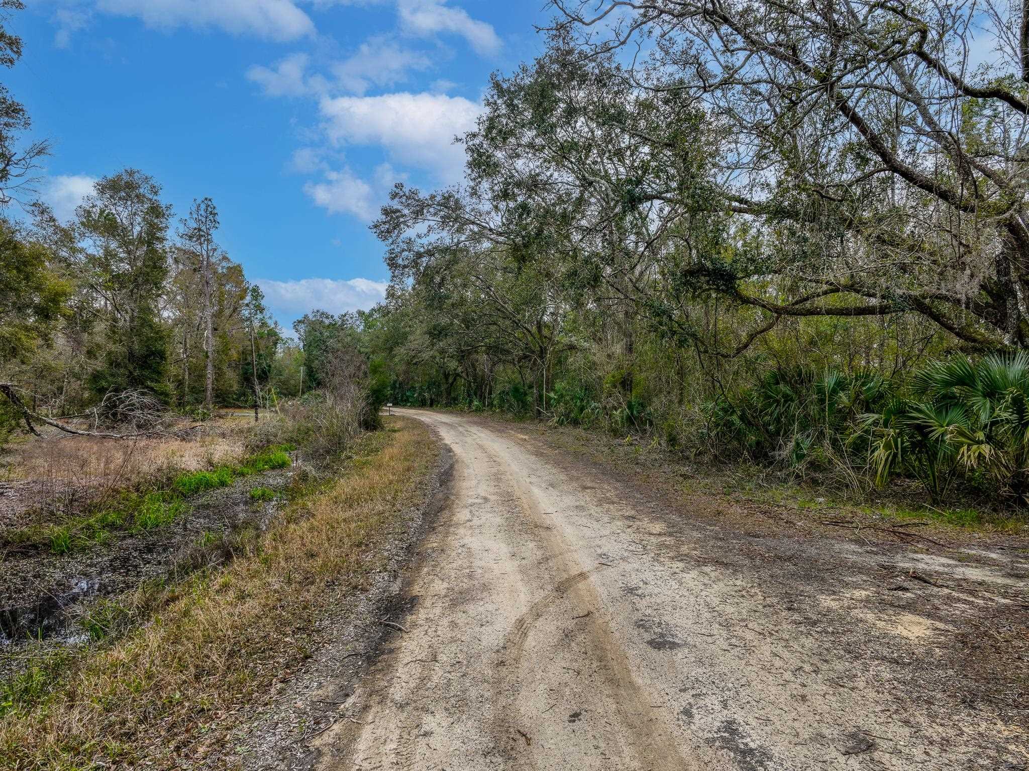 Vacant David Horton Road Perry, FL 32348 - Photo 4 of 12 Gallery Image 4