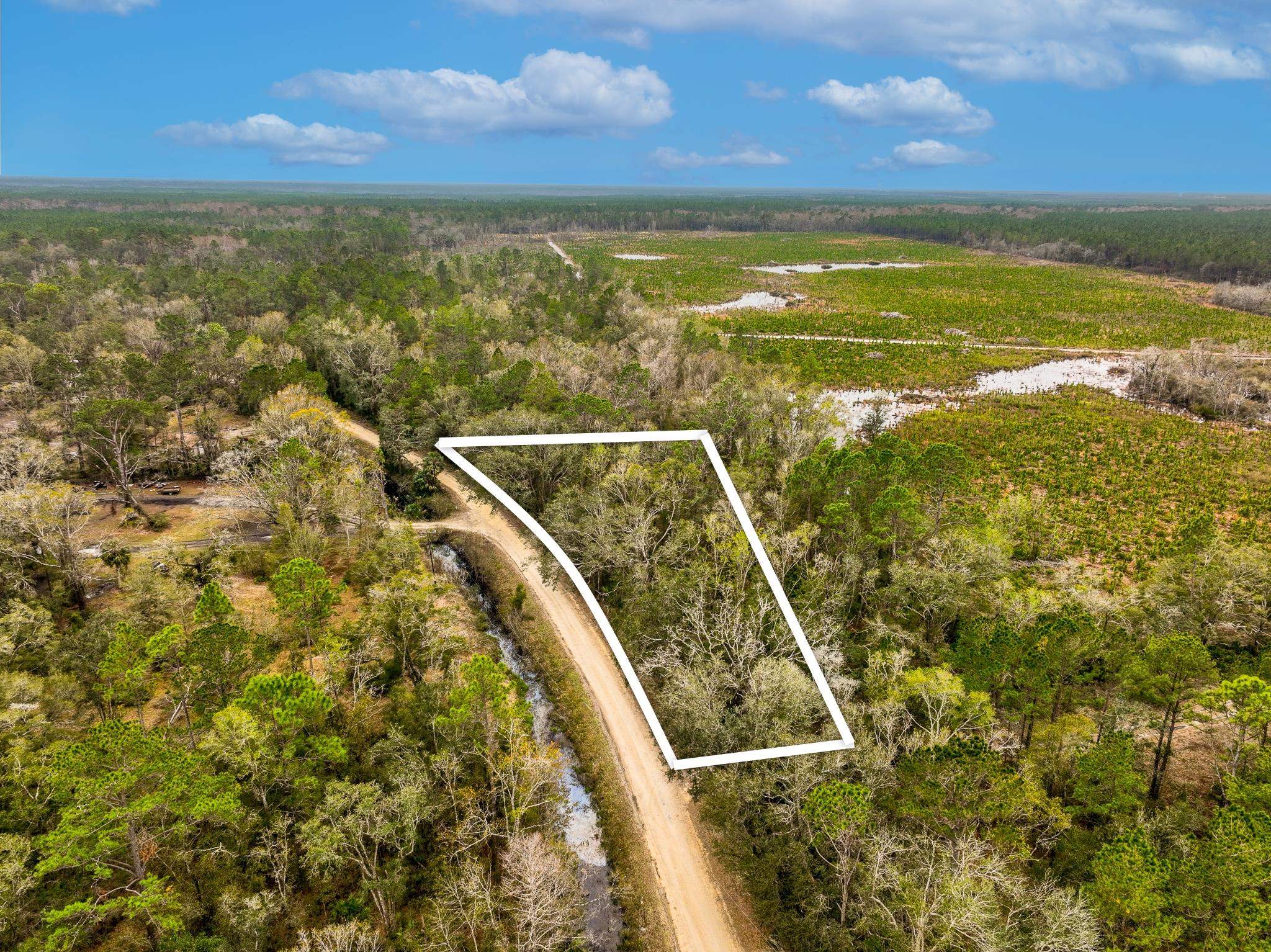 Vacant David Horton Road Perry, FL 32348 - Photo 5 of 12 Gallery Image 5