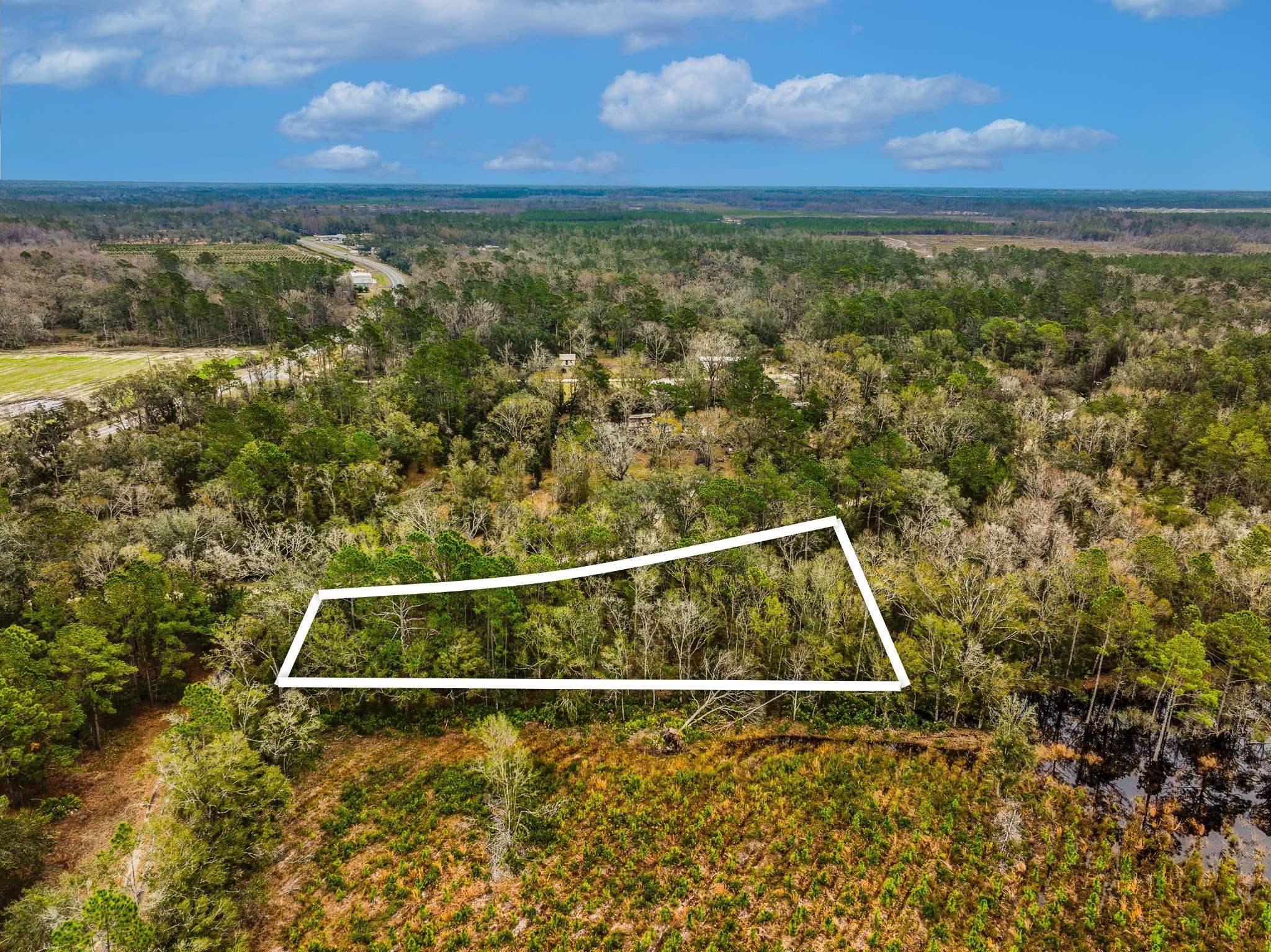 Vacant David Horton Road Perry, FL 32348 - Photo 6 of 12 Gallery Image 6