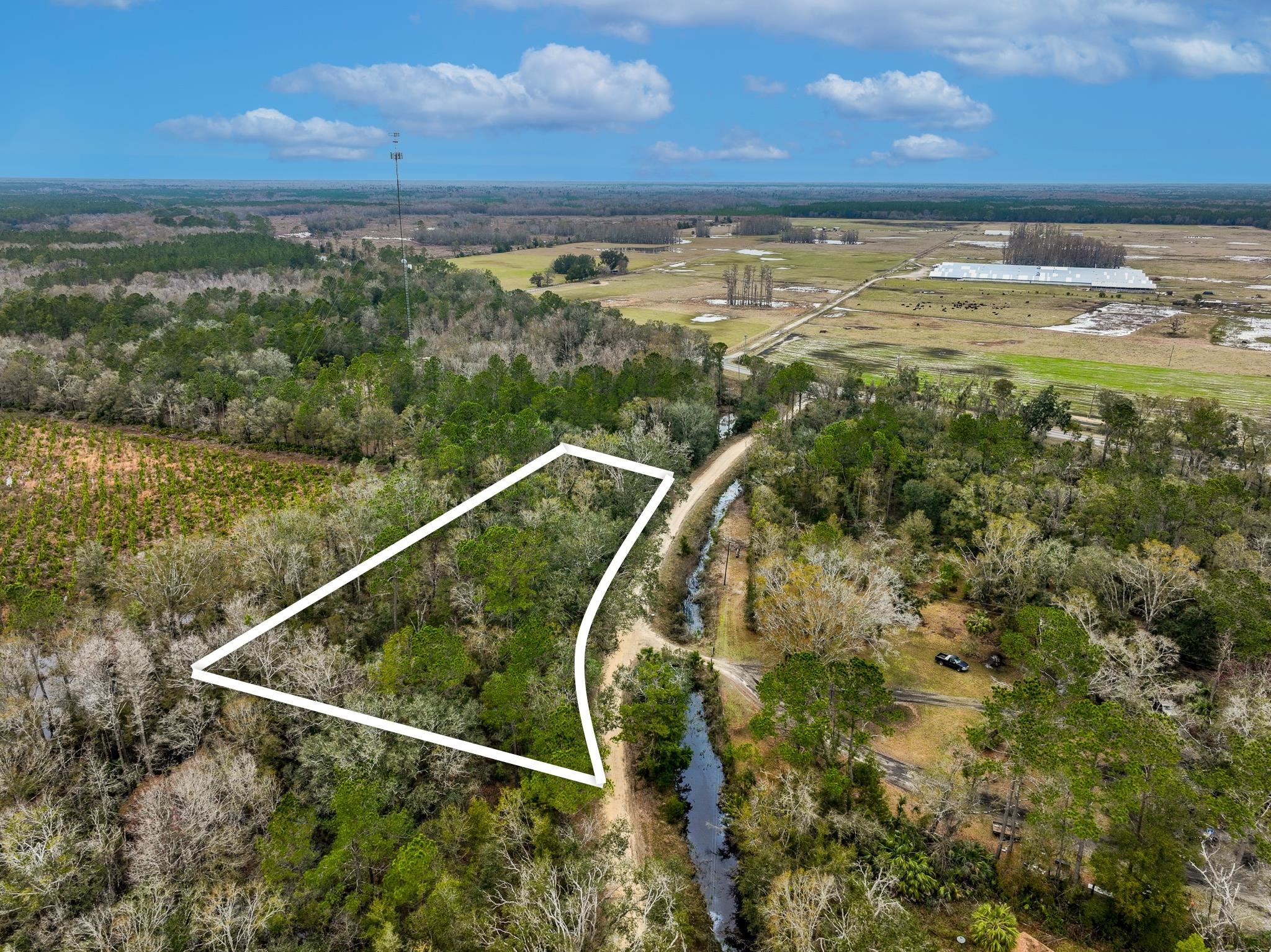 Vacant David Horton Road Perry, FL 32348 - Photo 7 of 12 Gallery Image 7